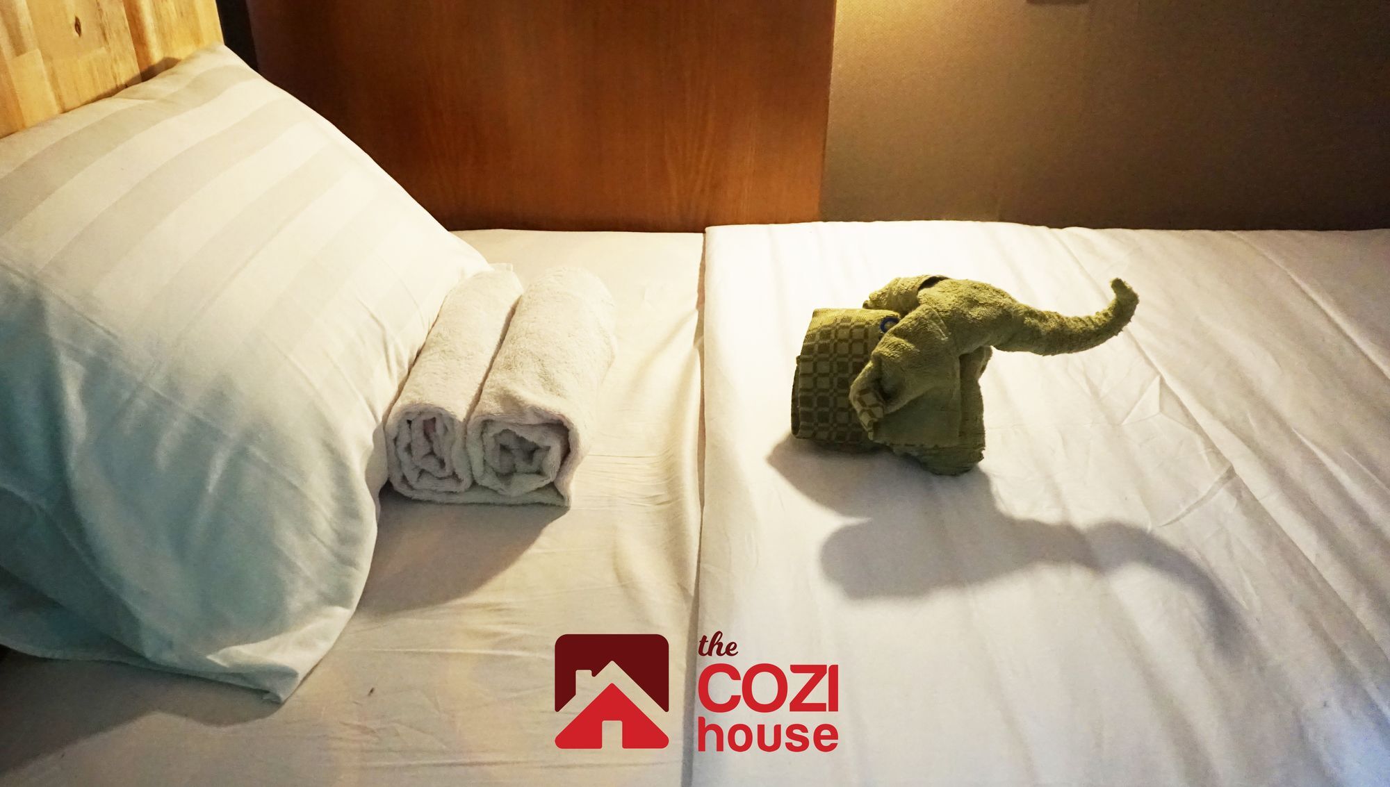 Oyo 708 The Cozi House - Homestay Ho Şi Min Dış mekan fotoğraf